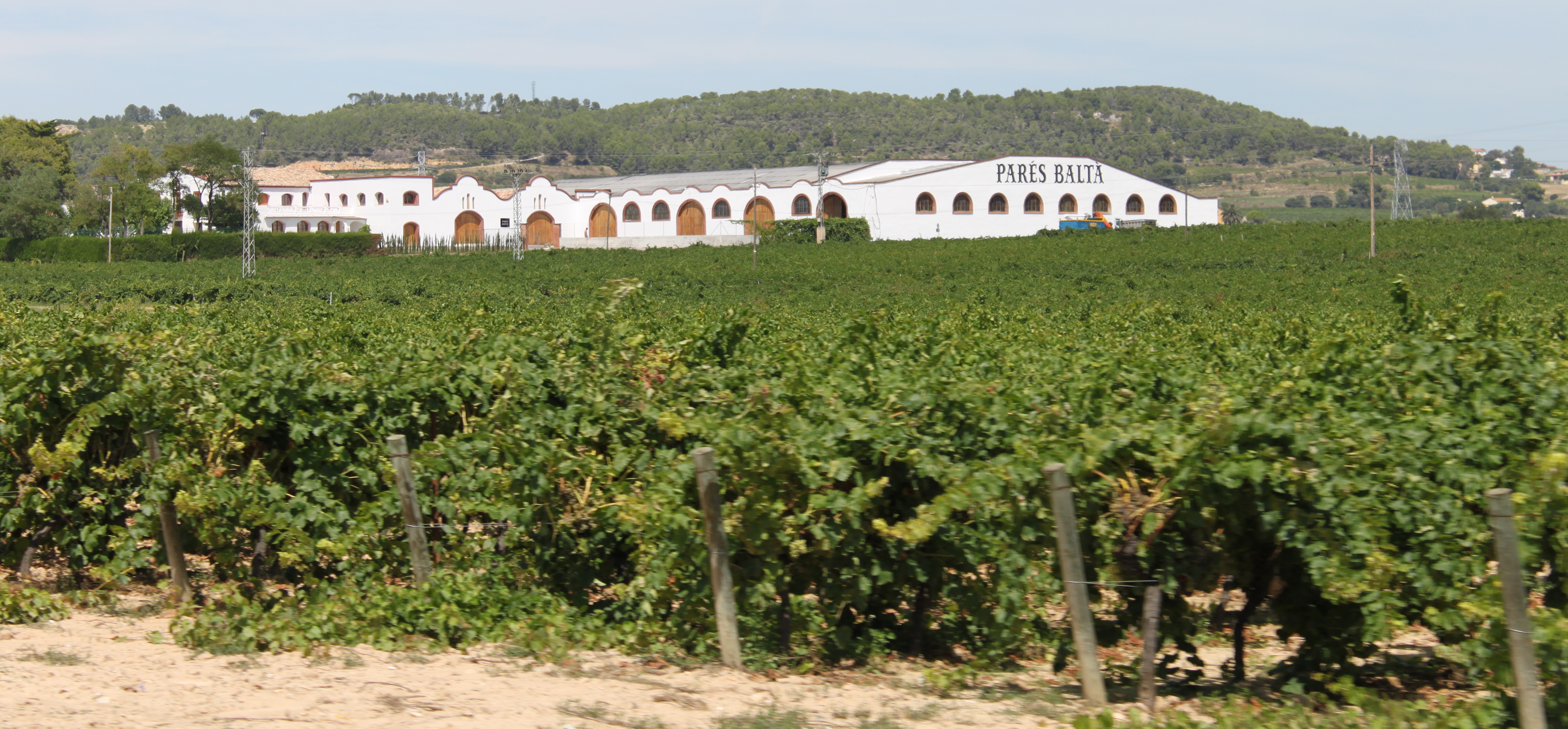 Bodegas Collado incorpora dos vinos naturales.