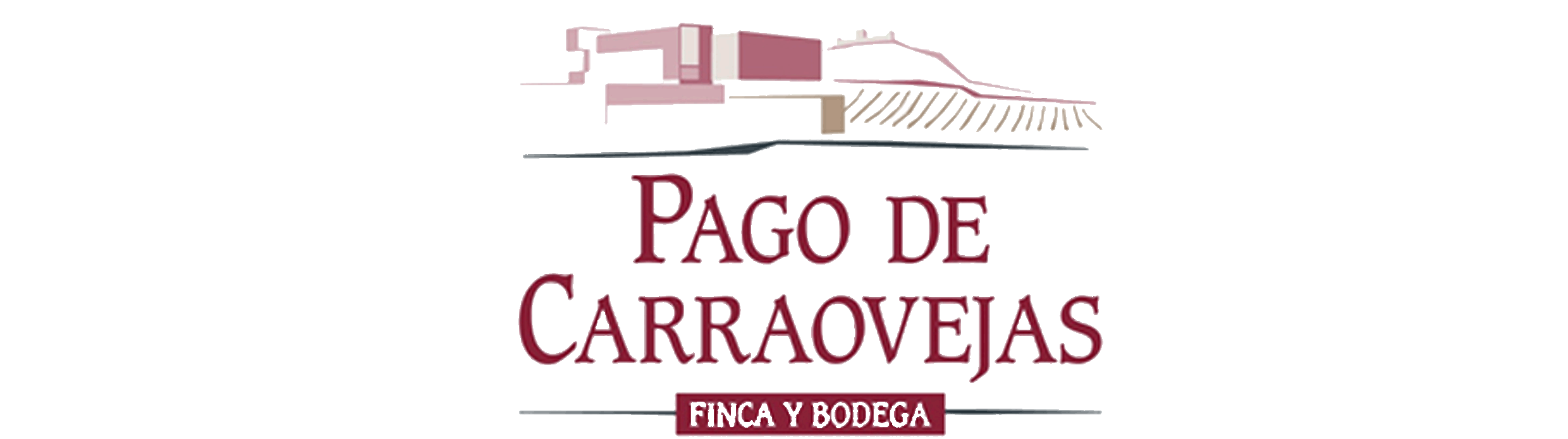 Bodegas Pago de Carraovejas